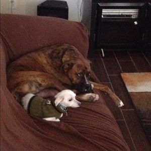 Meet your Posher, Ngozi